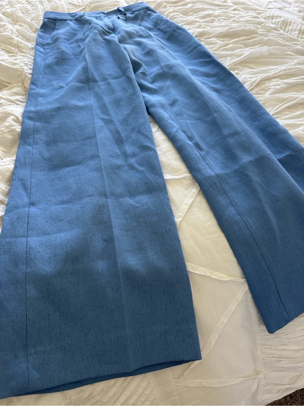 Zara Wide-Leg Pants in Blue
